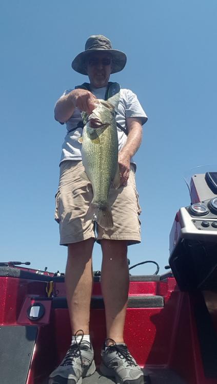 dotte5lber.thumb.jpg.764ce3fb5680b2b1ec4cb303ec04f236.jpg