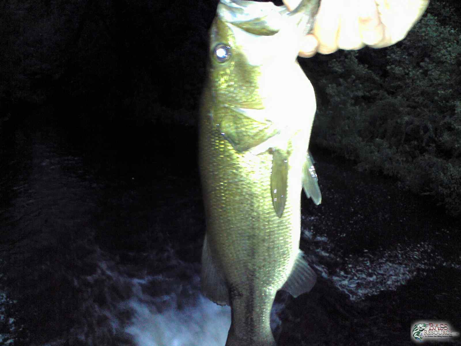 Spillway bass