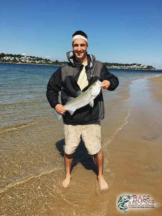 July Stripers, Sandy Point Reservation