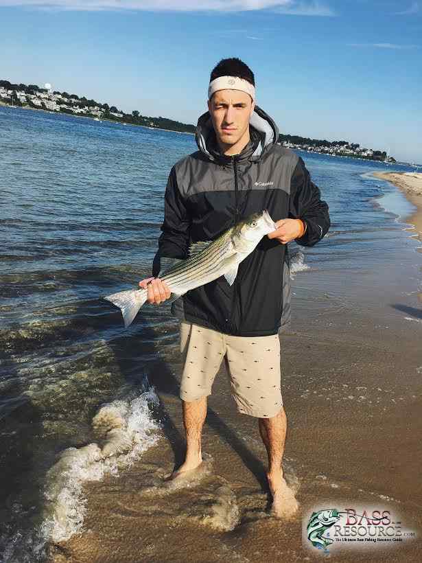 July Stripers, Sandy Point Reservation (2)