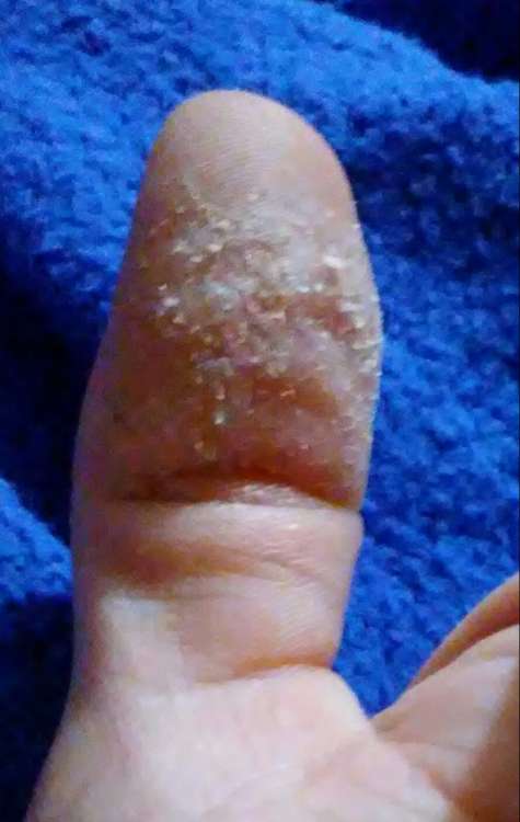 0819172033a-1.thumb.jpg.4ebd424b18dab12d1e6809c34dfb2fa9.jpg