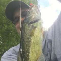What to do when bass are jumping and going after bugs - Fishing Tackle -  Bass Fishing Forums
