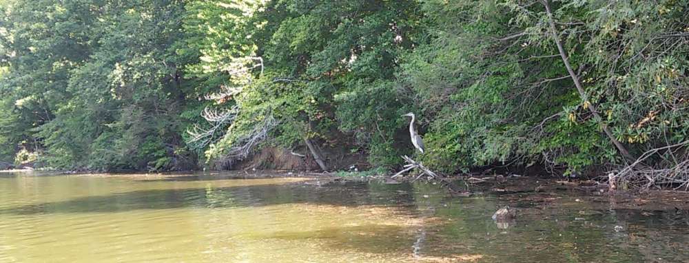 Occoquan.jpg