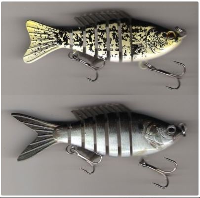 fish.JPG.0f167a2d49e38165720da08beefdc330.JPG