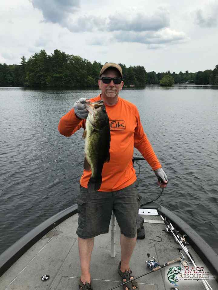 A chunky largemouth