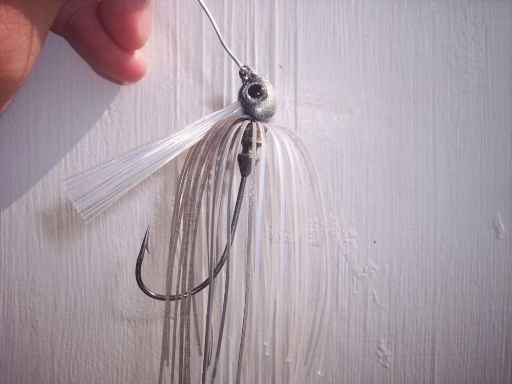 swim jig.jpg