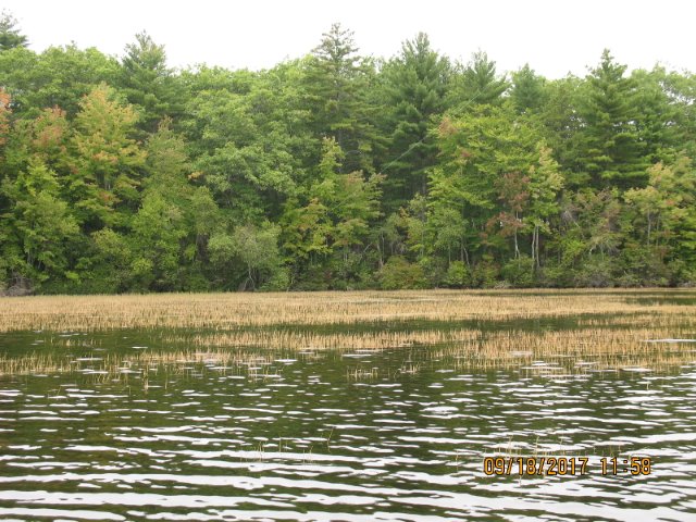 59c075877a323_IMG_1019(1).jpg.e310f5c161d725580f2b791df4be7200.jpg