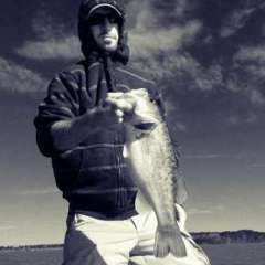 bassin4life