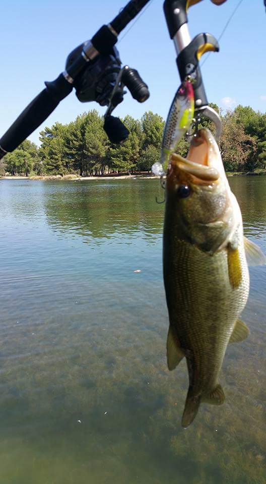 R2S Whopper Plopper 110.WORKS GREAT!!!! - Fishing Reports