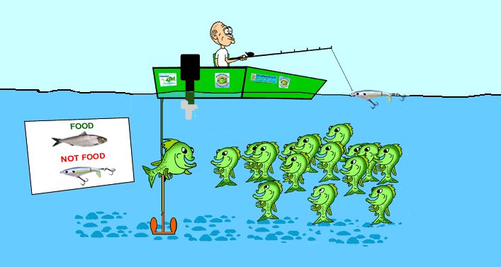 fish-school.jpg.84d52f7ce48cfc8c63ee8908e0ed085c.jpg