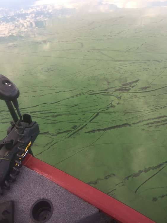 pea soup.JPG