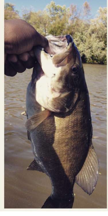 IMG_2744.thumb.PNG.64bec68b5f9689b9e7810788d4764425.PNG