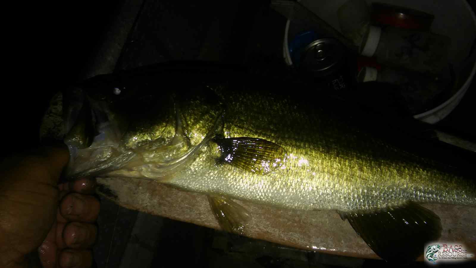 20171124_181837.jpg