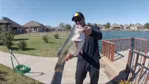 12.7 Largemouth Bass 10 27 17