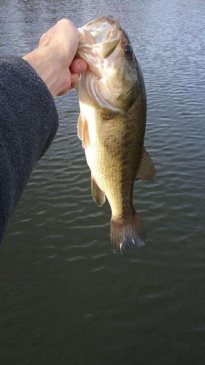 20171206_111817..JPG