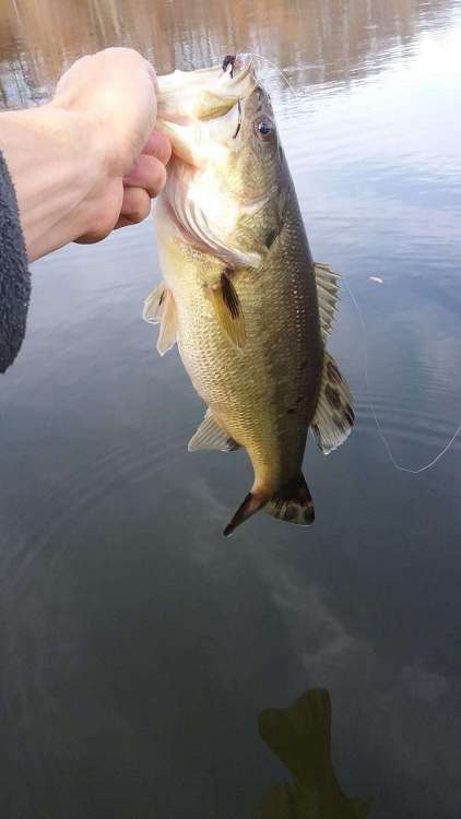 20171206_131543..JPG