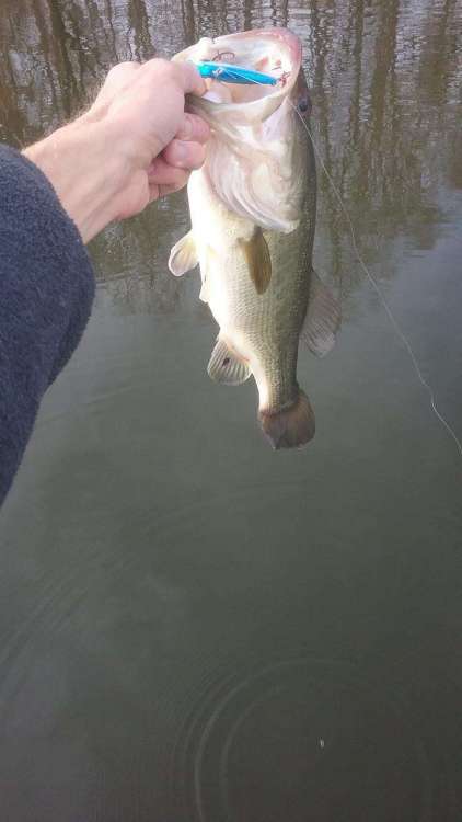 20171206_134717..JPG