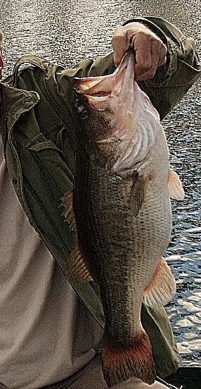 5a3544583aab9_10-2bass.jpg.d18243839aab777577e197967ccd5d17.jpg