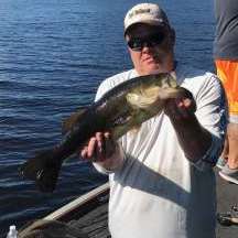 Mainebassin