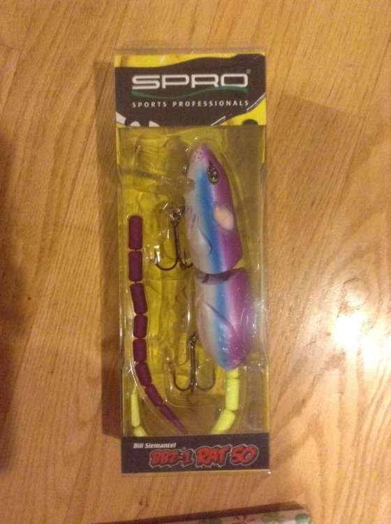 image.jpeg