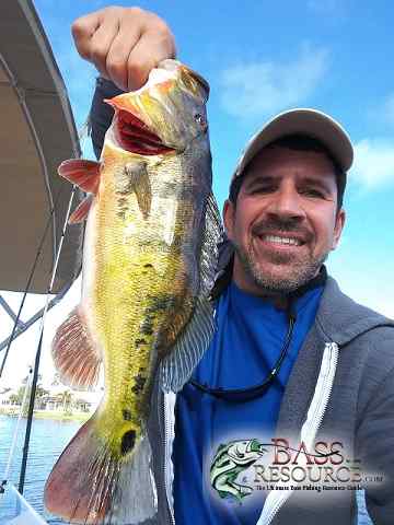 Lake Wellington Bass