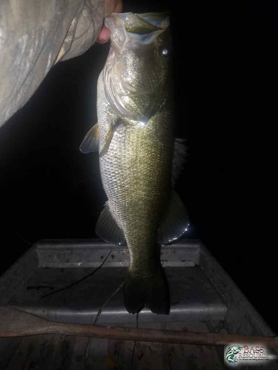 20171226_182102-1512x2016.jpg