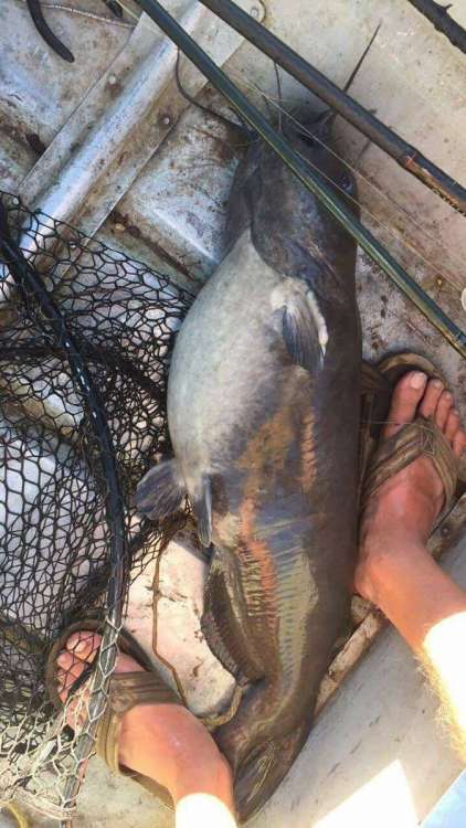 received_1519754654727395.jpeg