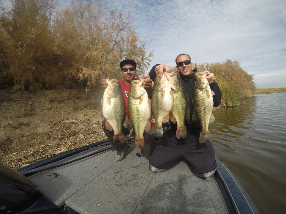 30lb 10oz bag (Yall gonna want to see these!) - Fishing Reports