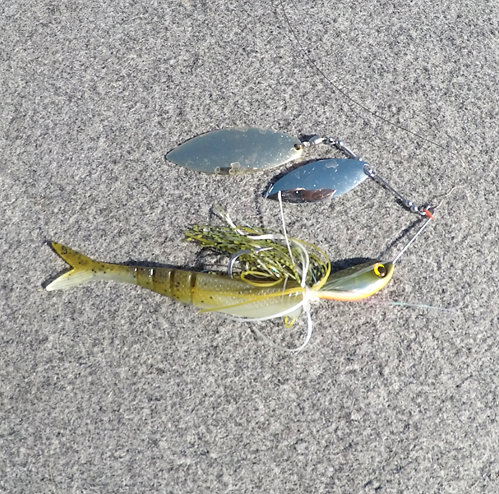 Spinnerbait with soft plastic trailer, Yes or No? - Fishing Tackle
