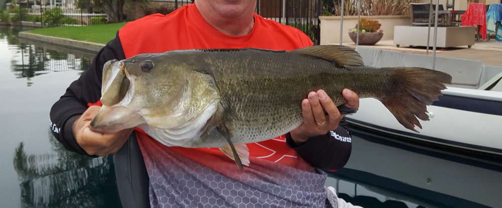 8 lb cropped.jpg