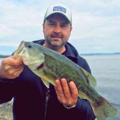 MSPbass