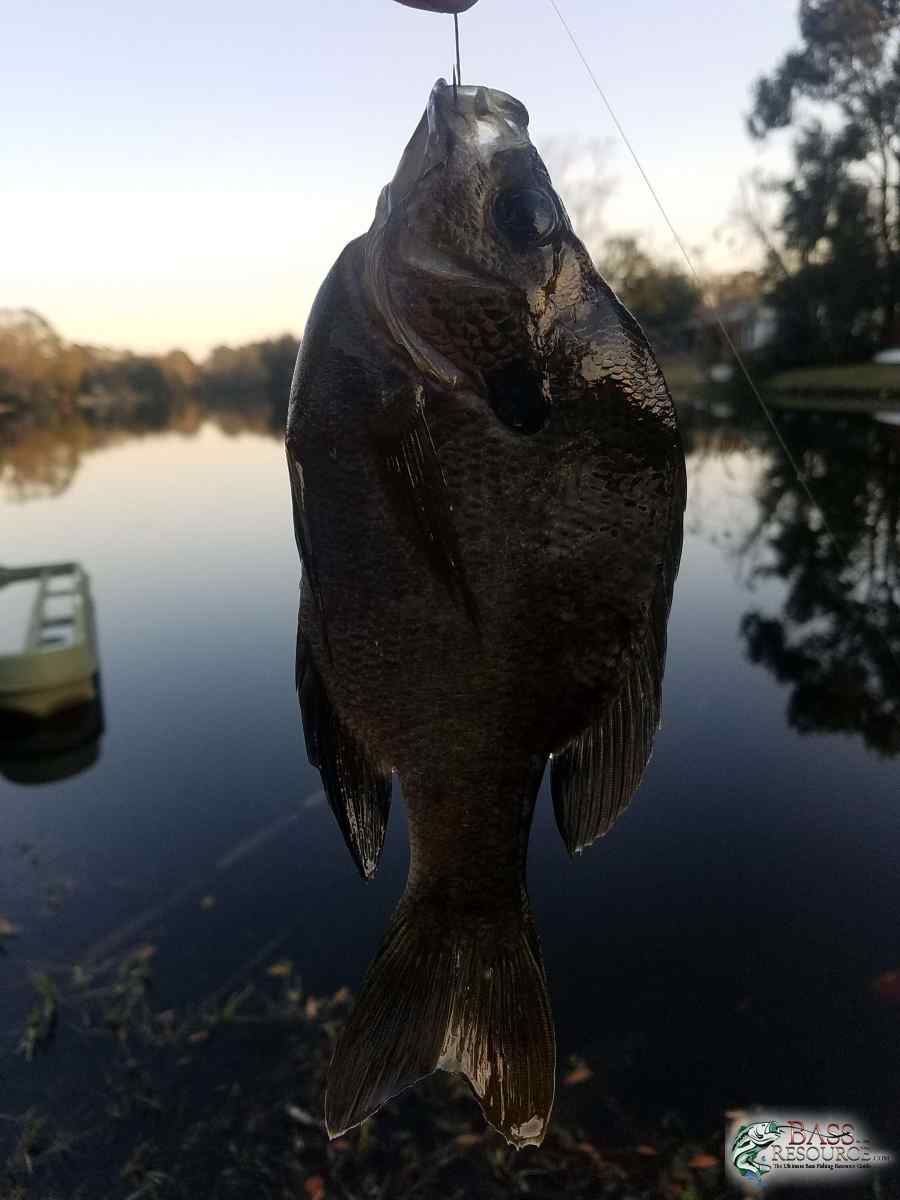 20180119_172217_001.jpg