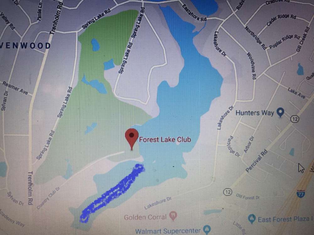 Forest Lake.jpg