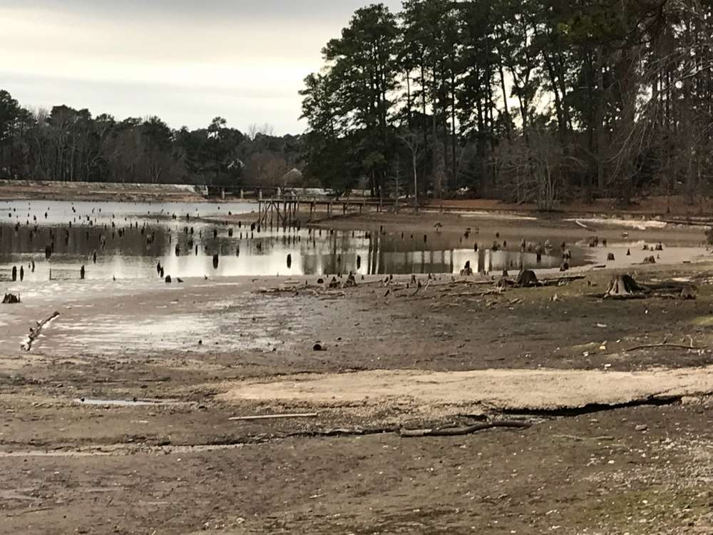 Forest Lake 2.jpg