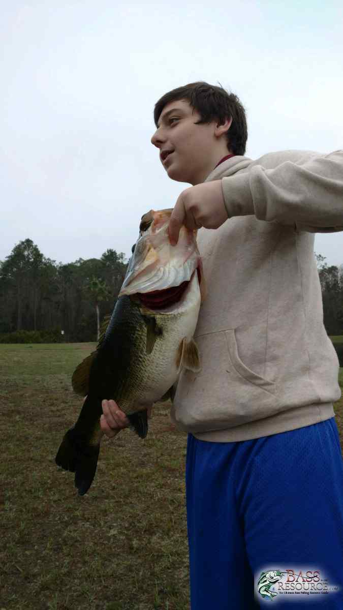 Jack Saullo Jr. LM Bass Pictures