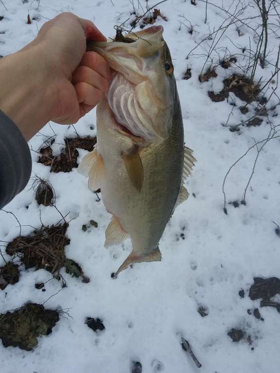 20180308_154121..JPG