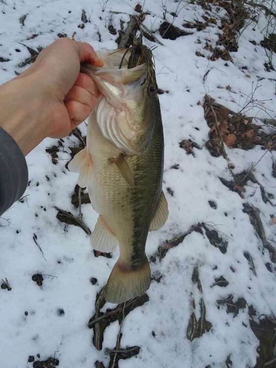 20180308_155015..JPG