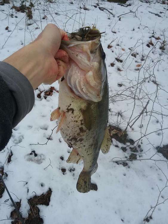 20180308_155628..JPG