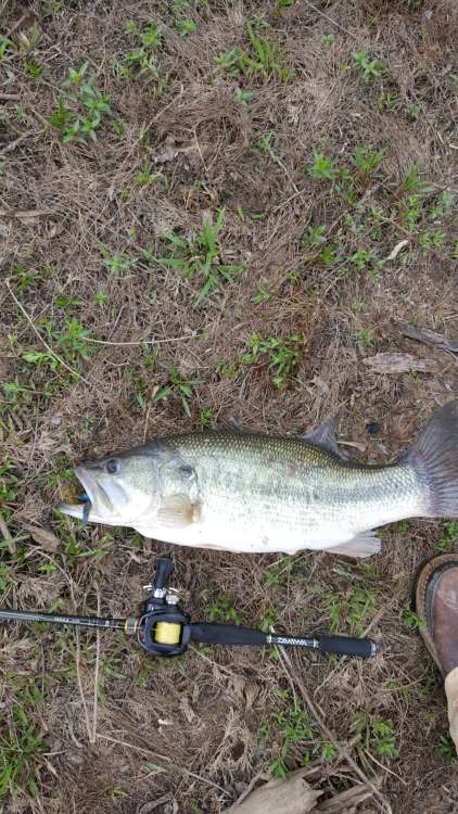 20180323_152513-1195x2124.jpg