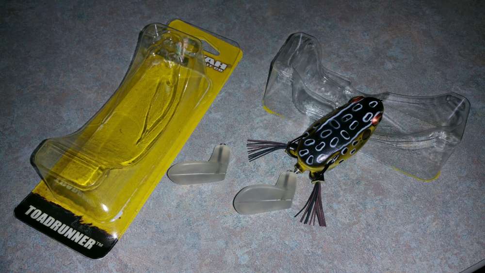 toadrunner 2.jpg
