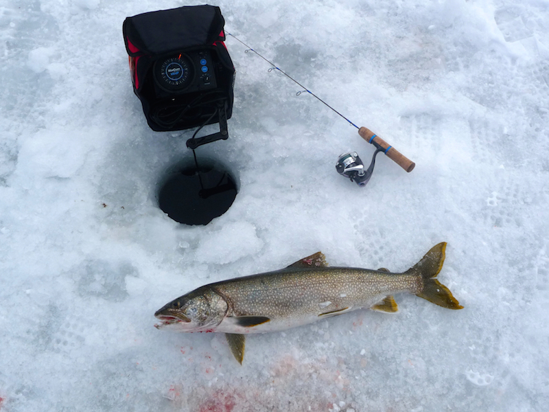5aaaac31d5c3b_LakeGeorgelakerb2-22-15.jpg.5c75001b6267a411b64e84d5d68bf142.jpg