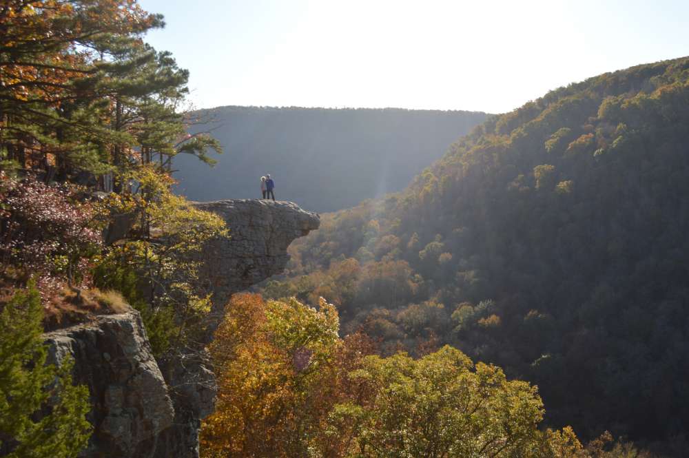 DSC_0084.jpg