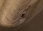 image.png.46b4d1ebe704fec690321c707fc3610b.png