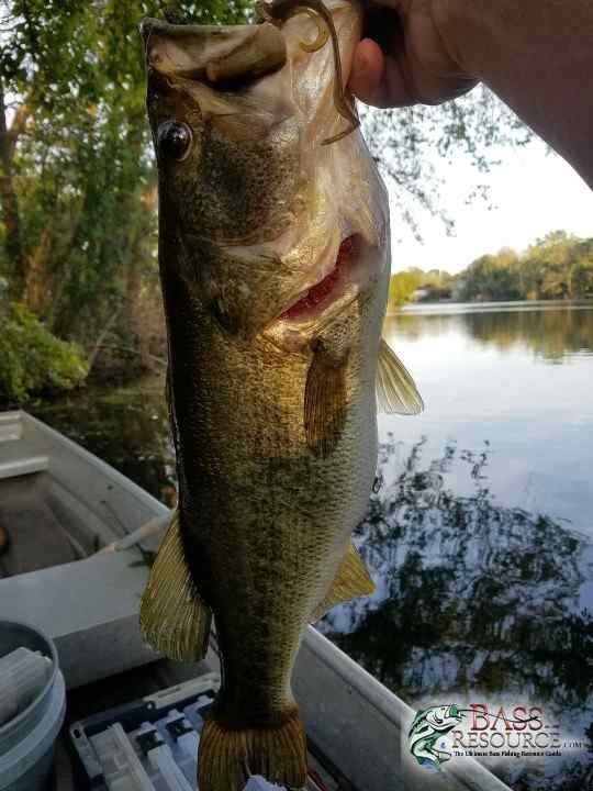 20180324_185634-1080x1440-540x720.jpg
