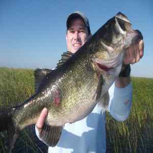 my bass