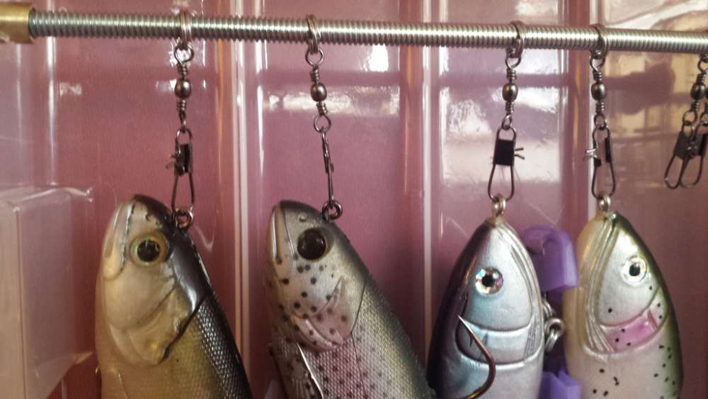 Swimbait Storage.jpg