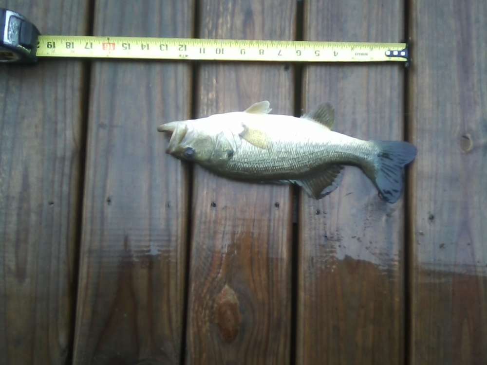 Bigger LMB 022218.jpg