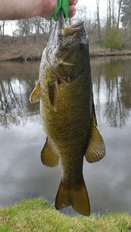 APR24_2_34.thumb.jpg.5598eff792b75b3d8aaa97b4efaacee9.jpg