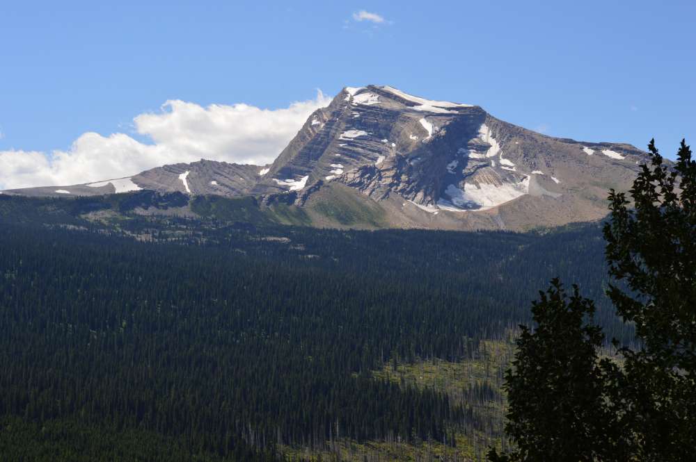 DSC_0079.jpg
