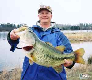 my bass